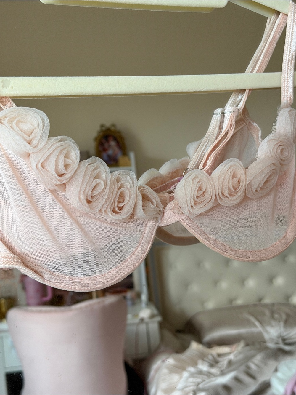 Sugar Thrillz Delicate Rose-Trim Sheer Bra - Light Peachy Pink - Picture 2 of 4